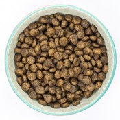 貓無穀物糧