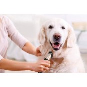 Dog Brushes, Clippers and Blow Dryers
